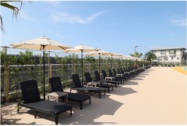 大浜公園再整備(静岡市大浜公園)